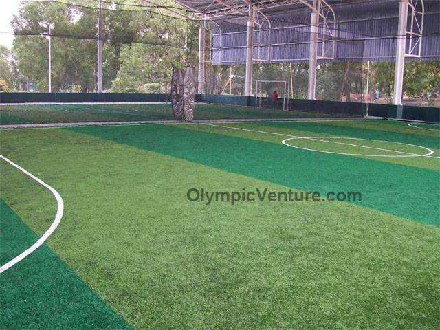 Shah Alam Extreme Park Futsal Centre's 2 toned Tiger Turf, 4 courts